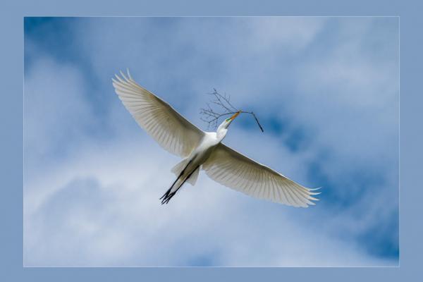 2020 ASP Best of the Best