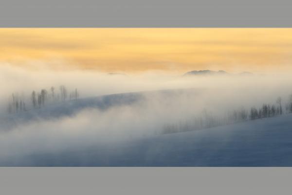 2021 ASP Best of the Best