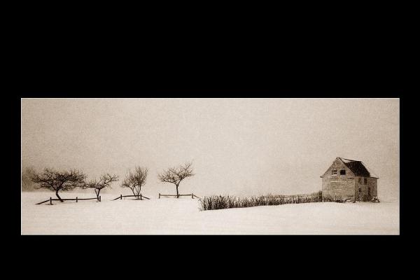 2011 ASP Best of the Best