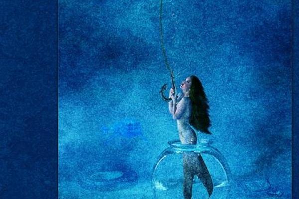 2010 ASP Best of the Best