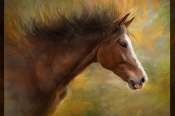 2014 ASP Best of the Best