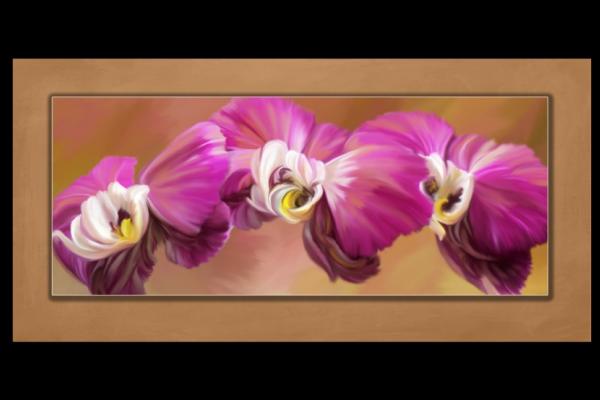 2013 ASP Best of the Best