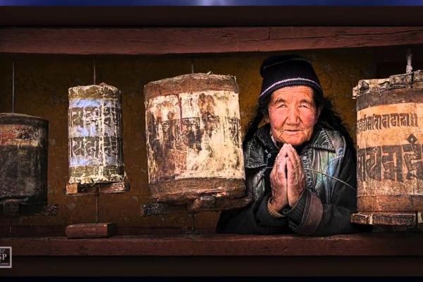 ASP Best of the Best 2016